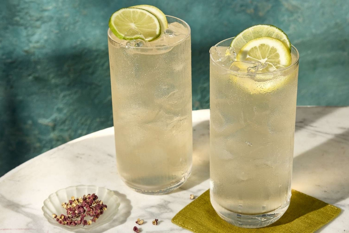 gin-and-tonic-recipe